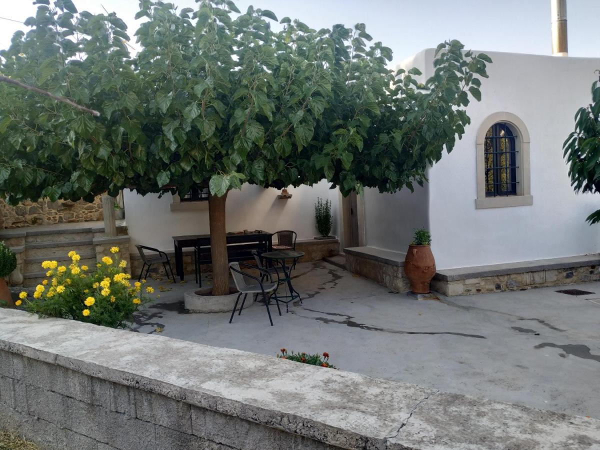 Xenios Z Rustic Rural Cottage Karidi Exterior photo